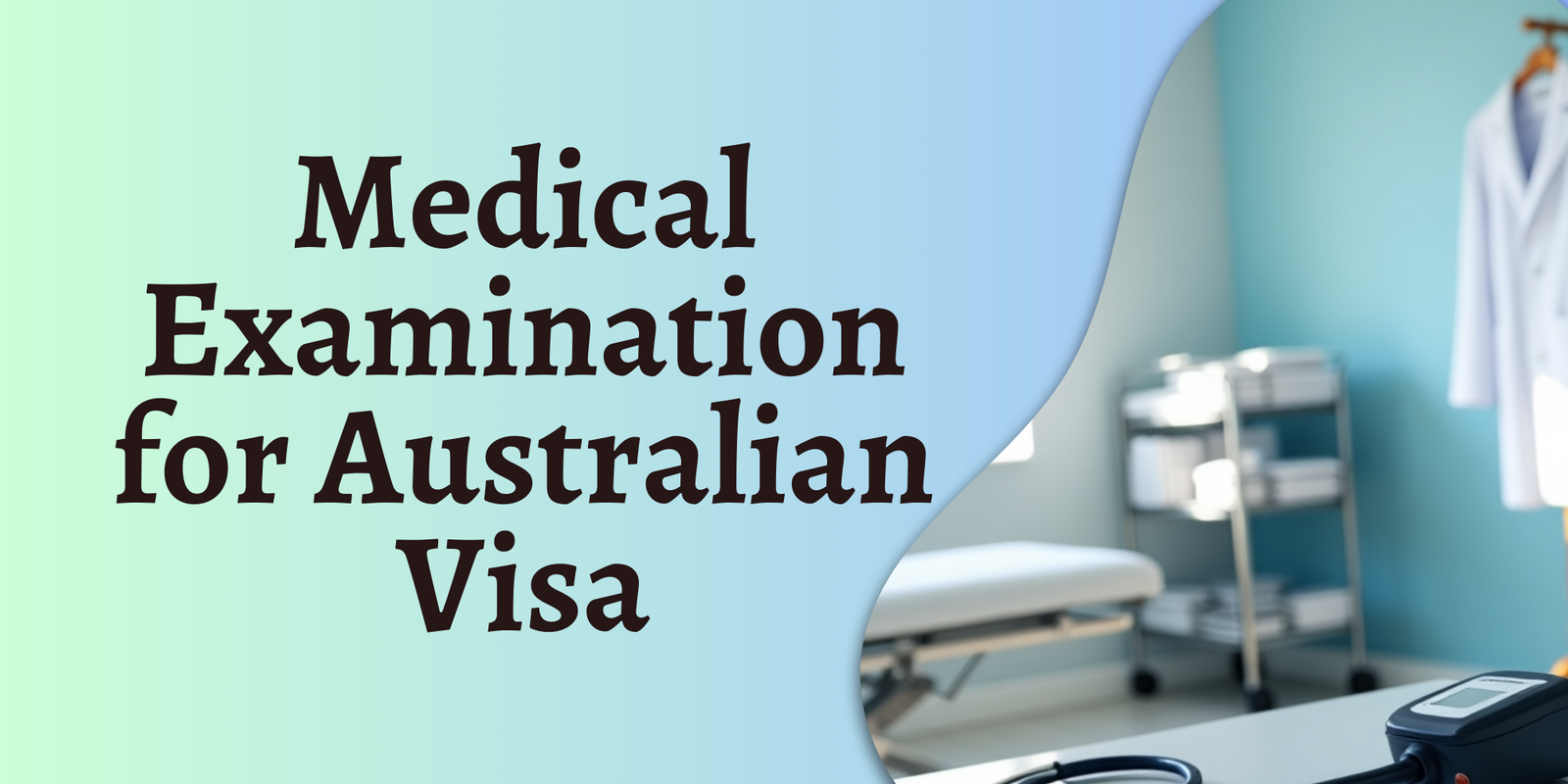 Understanding Australian Immigration Health Undertaking Conditions for ...